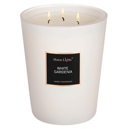 Picture of White Gardenia Large Jar Candle | SELECTION SERIES 1316 Model